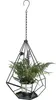 DanDiBo Blumenampel Innen Metall Wand Hängepflanzen 82 cm Produktbild-Vorschau 7