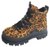 Schnürstiefelette Kaltfutter bis 35mm Absatz (casual) Aspha Produktbild-Vorschau 20