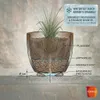 Diagram showing the correct drainage setup for a plant pot to prevent frost damage and waterlogging. Anteprima dell’immagine prodotto