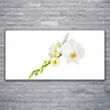 Glasbilder 120x60 Wandbild Druck auf Glas Blumen Pflanzen Produktbild-Vorschau 2