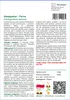 SAFLAX - Garden to go - Madagaskar - Palma - 10 Nasiona - Z Podgląd zdjęcia produktu 3