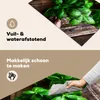 KitchenYeah© Herdabdeckplatte Basilikum-Pflanzen , 81x52cm, Produktbild-Vorschau 2