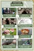 Wilderness Long-Term Survival Guide: Forgotten Skills to Produktbild-Vorschau 2