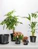 Garronda Blumentopf Untersetzer GD-0026 (1 Stück - Schwarz, Produktbild-Vorschau 2