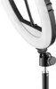 Hama SpotLight Steady 120 III, LED, 1020 lm, 3000 K, 6500 Podgląd zdjęcia produktu 3