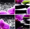 Poster - Poster ohne Rahmen - Orchidee Natur Wasser Blume - Produktbild-Vorschau 8