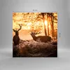 Bilder auf glas - Deer Heidekraut Tier - 50x50cm - Produktbild-Vorschau 3