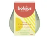 Bolsius Olympic True Citronella-Kerze, grün Produktbild-Vorschau 5