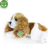 Plüschtier - Hund KAVALIR KING CHARLES SPANIEL liegend 30 Produktbild-Vorschau 4