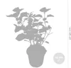 Bloomique - 2er-Set - Hydrangea Pink Annabelle - Hortensie Produktbild-Vorschau 3