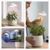 LED GROW pěstební lampa 5 W, časovač, bílá Náhľad obrázku produktu