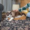 Petsona Kratzbrett Für Katzen Natürlicher Katzenkratzer Produktbild-Vorschau 3