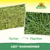 Neudorff Azet RasenDünger Frühjahr 5 kg für 100 m² Produktbild-Vorschau 5