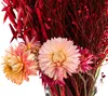 Dehner Blumenstrauß aus Trockenblumen, Blumen-Bouquet Produktbild-Vorschau 3