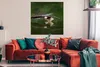 MuchoWow® Poster Ein Weißkopfseeadler fliegt sehr niedrig Produktbild-Vorschau 2