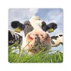 MuchoWow® Mauspad Mousepad Kuh - Bauernhof - Gras - Tiere Produktbild-Vorschau 1