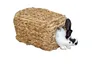 KERBL Grashaus für Nagetiere, 28x18x15 cm Produktbild-Vorschau 2