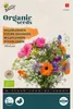 Mélange de fleurs sauvages | Graines de fleurs sauvagesde Voir les images du produit 1