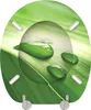 SANILO® WC-Sitz Green Leaf Produktbild-Vorschau 7