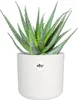 elho b.for Soft Rund 14cm Übertopf - weiss Produktbild-Vorschau 8