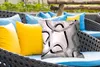 MuchoWow® Outdoor Kissen - Linie - Minimalismus - Produktbild-Vorschau 4
