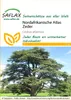 Artikelbild 1 von 'Nordafrikanische Atlas Zeder' aus der Kategorie Bonsaisamen Náhled obrázku produktu