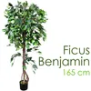 Fico Ficus Benjamin Pianta Albero Artificiale con Legno Anteprima dell’immagine prodotto 1