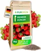 Purgrün -Erdbeerdünger | Krümelgranulat für Erdbeeren | 1kg Produktbild-Vorschau 1