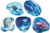 A collage of five different mousepads, each featuring a different sea creature.