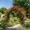 Relaxdays Rosenbogen, Metall, HxBxT: 240 x 140 x 38 cm, Produktbild-Vorschau 2