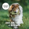 RUDELKÖNIG Futterdummy grün – Robuster Apportierbeutel für Produktbild-Vorschau 3
