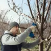 Bosch Akku-Gartenschere 12V GGP12V-25 Produktbild-Vorschau 16
