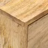 vidaXL Szafka nocna 40 x 35 x 55 cm z litego drewna mango Podgląd zdjęcia produktu 4