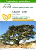 SAFLAX - Libanon - Cedr - Cedrus libani - 20 Semena - S Náhled obrázku produktu 1