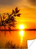 MuchoWow® Poster Sonnenuntergang - Wasser - Pflanzen - Produktbild-Vorschau 1