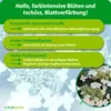 Purgrün Kletterhortensie-Dünger 1 Liter, Produktbild-Vorschau 3