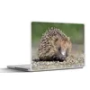 MuchoWow® Laptop Aufkleber Sticker Cover Igel auf Schotter Produktbild-Vorschau 1