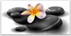 Glasbilder 120x60 Wandbild Druck auf Glas Blumen Steine Produktbild-Vorschau 1