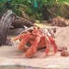 Folkmanis Hermit Crab, Fingerpuppe, Tier, 1 Stück(e) Produktbild-Vorschau 4