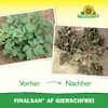 Neudorff Finalsan AF GierschFrei 750ml für 25m² Spray ohne Produktbild-Vorschau 5