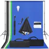 vidaXL Set da studio fotografico con softbox e sfondo Anteprima dell’immagine prodotto 8