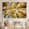 MuchoWow® Poster Wald - Bäume - Herbst 180x120 cm - Produktbild-Vorschau 7