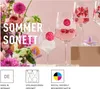 4er Set Ritzenhoff Aperitifgläser SOMMERSONETT Vasconcelos Produktbild-Vorschau 5
