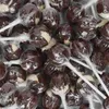 Küfa Kugel Lolly mit Schoko Vanille Geschmack 100 Stück Produktbild-Vorschau 5