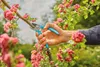 Gardena Gartenschere EasyCut Bypass Produktbild-Vorschau 7