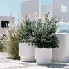 Two white planters with green plants in them, placed on a stone patio with tall dry grass in the background. Voir les images du produit