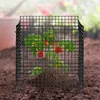Pflanzenschutzkäfig für Gemüse - 10er-Set - 305x305x305mm - Produktbild-Vorschau 8
