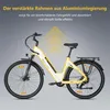 TTGO C3 E-Bike Cityrad 28 Zoll, 55Nm, 650Wh, 150km, Produktbild-Vorschau 10