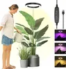 Lampe de culture LED à spectre complet, 72 LED, lampe de Voir les images du produit 1