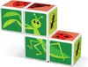 Geomag Magicube insects, magnetické kostky s potiskem, 4 Náhled obrázku produktu 8